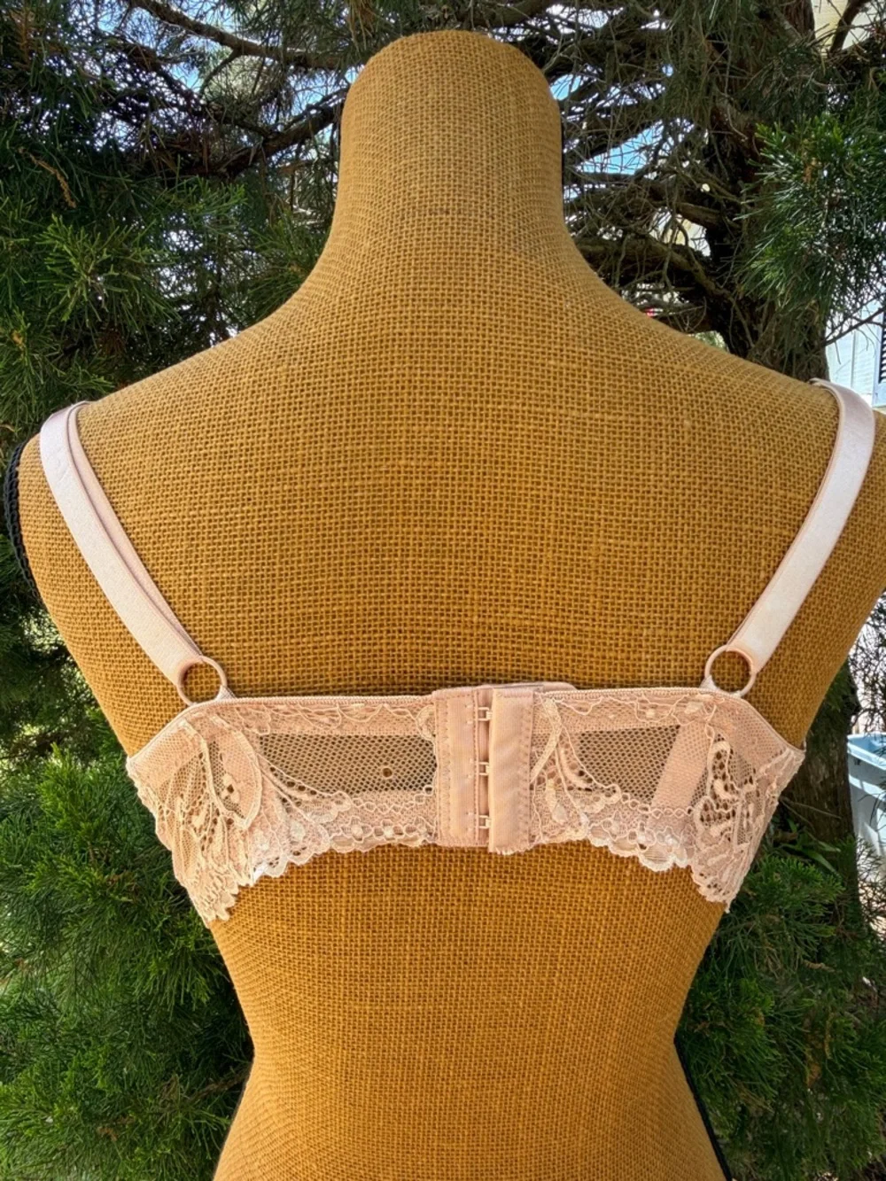 Rene Rofe Blush Lace Soft-Cup Bra with Bow Accent - Picture 4 of 7